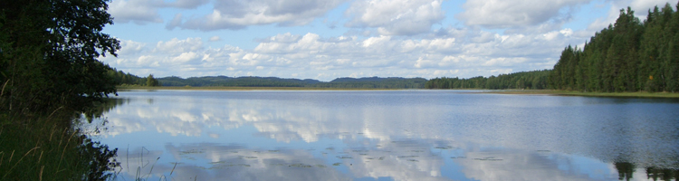 Vakantievilla Finland